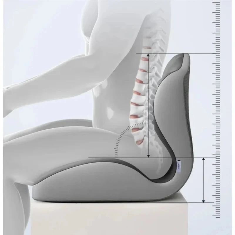 ComfortCurve Memory Lumbar Seat Pillow